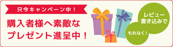 只今キャンペーン中！