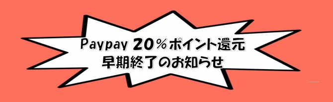 Paypay20％ポイント還元終了!?