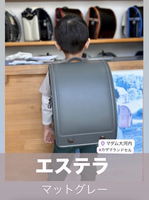 【エステラ〜マットグレー〜】