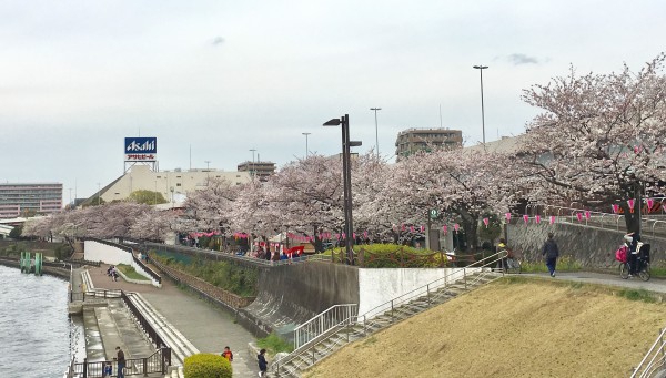 桜祭り2023♪