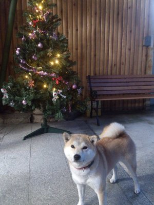 カザマランドセル 桜井本店