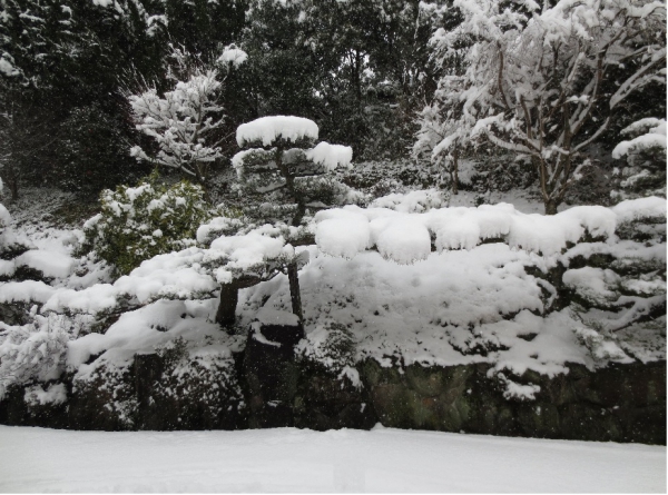 今日は奈良も雪国です。